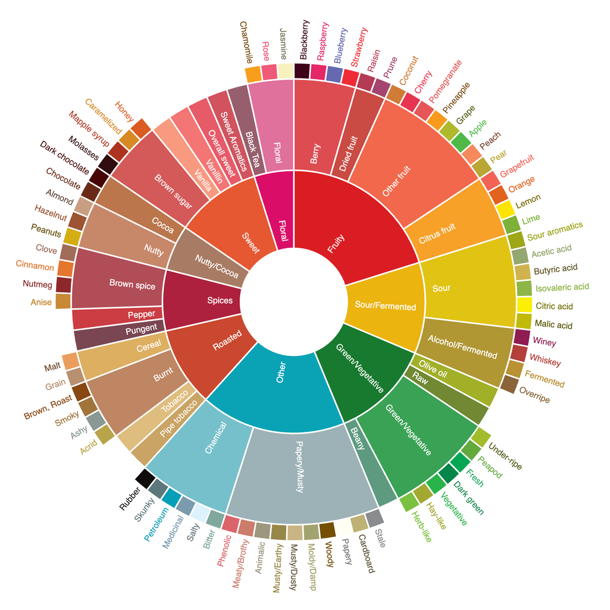 Three-ring circular chart classifying coffee sensory descriptors: the centre groups nine major families (Fruity, Sour/Fermented, Green/Vegetative, Other, Roasted, Spices, Nutty/Cocoa, Sweet, Floral), the second ring breaks them into sub-categories (Berry, Citrus fruit, Brown spice, Burnt, Chemical, etc.), and the outer ring details specific aromas (Blackberry, Cinnamon, Pipe tobacco, Jasmine, Malic acid, etc.). Each segment is colour-coded by sensory family.